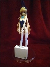 Cute  Sexy Anime Bunny Girl