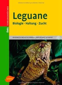 Leguane biologie haltung - haltung,