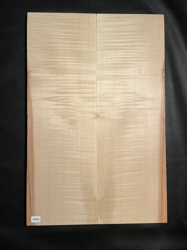 Riegelahorn top tonholz - top,