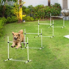4 Piece Dog Agility Starter