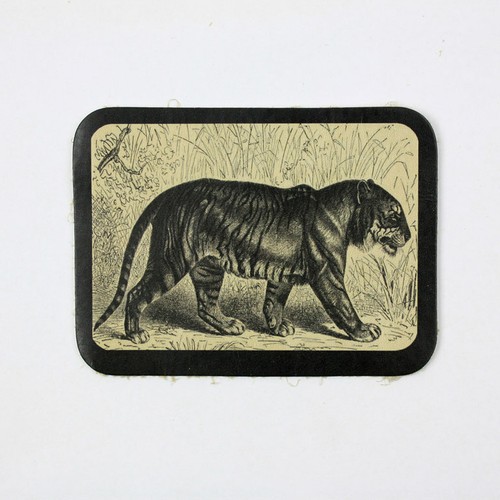 Biker chopper bengal - biker,