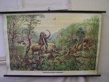 Alte Lehrtafel Zwischeneiszeitliche Landschaft Vintage DEKO Wandkarte Rollkarte