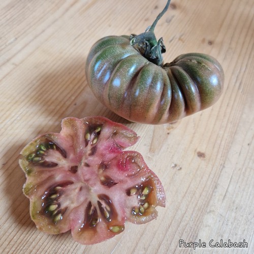 Tomate purple calabash - tomate,