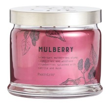  Partylite