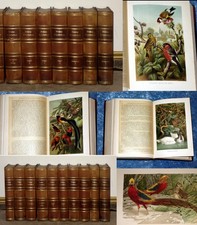 BREHMS TIERLEBEN KOMPLETT IN 10 BÄNDEN VON 1890 VIELE STICHE UND LITHOGRAPHIEN