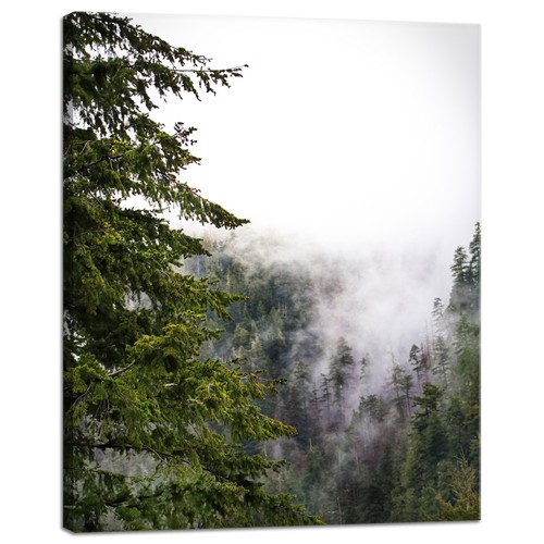 Leinwanddruck natur berge - natur,