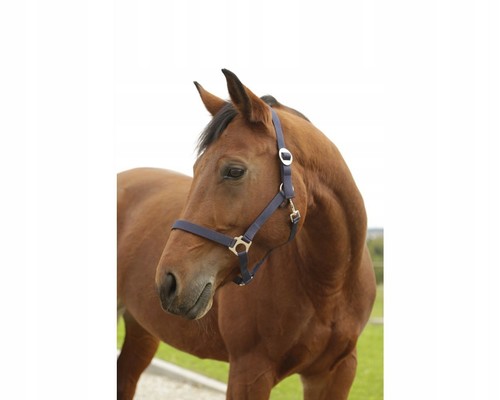 Horse halter dark blue - dark,