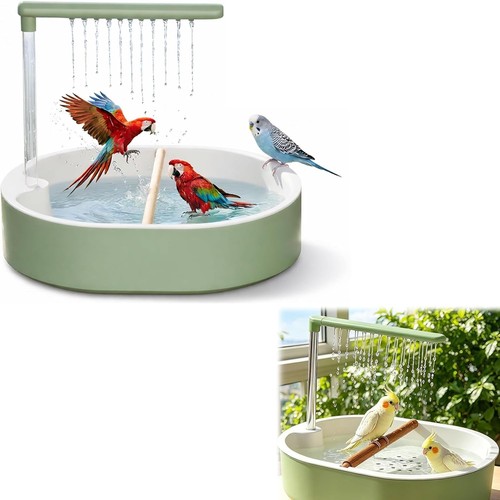Wellensittich vogelbad - wellensittich,
