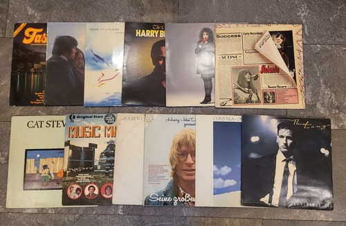 Schallplatten sammlung - 14,