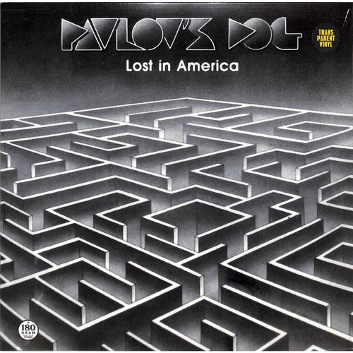 Pavlov dog lost - dog,