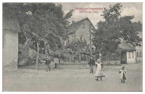 S6041 frauenstein 1000 - s6041/,