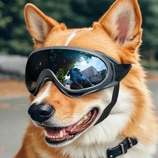 Haustierbrille verstellbar