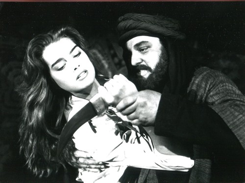 Sahara original pressefoto - sahara:, 1