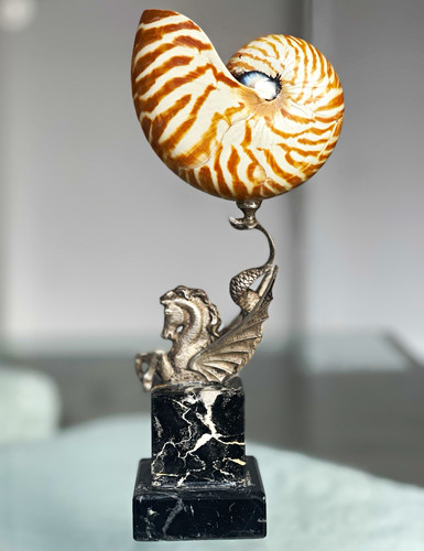 Skulptur nautilusmuschel aus - skulptur,