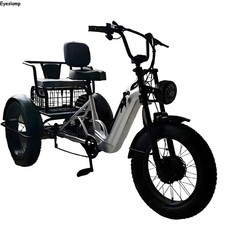 20-Zoll-Elektro-Dreirad Fahrrad füir 2 personen 500W 48V E-Trike aus Aluminiumle