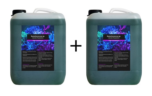 Liter phytoplankton - 11,