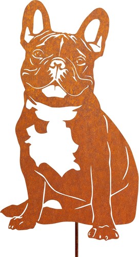 Französische bulldogge hund - französische,