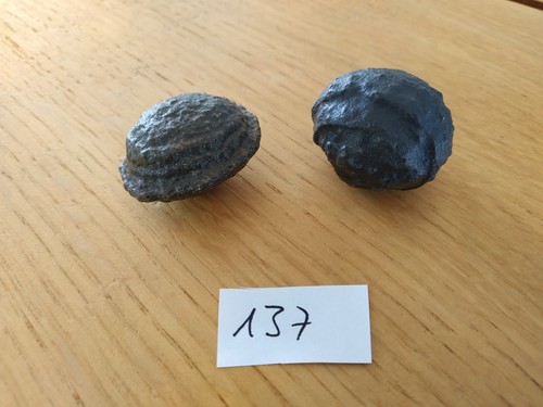 137 moqui marbles lebende - moqui, -lebende