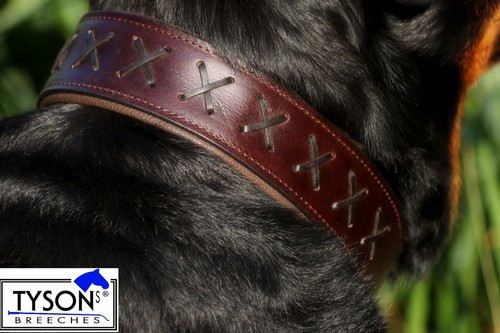 Hundehalsband leder extra - hundehalsband,