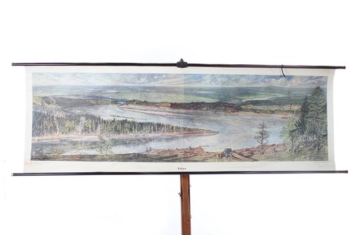 Lehrtafel schulwandkarte taiga - schulwandkarte,
