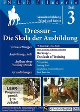 Dressurreiten für