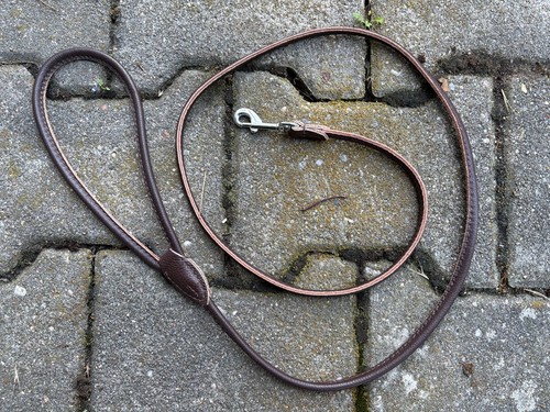 Hundeleine leder leine - hundeleine,