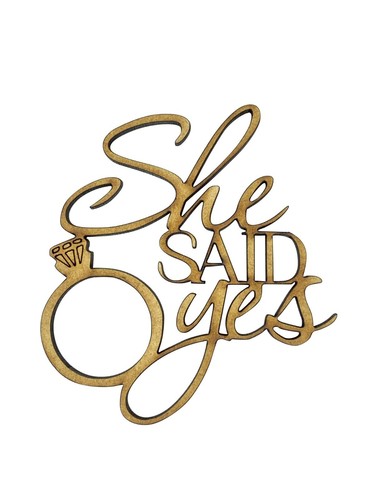 She said yes - yes, verlobung