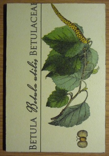 Deko hdf natur garten - -,