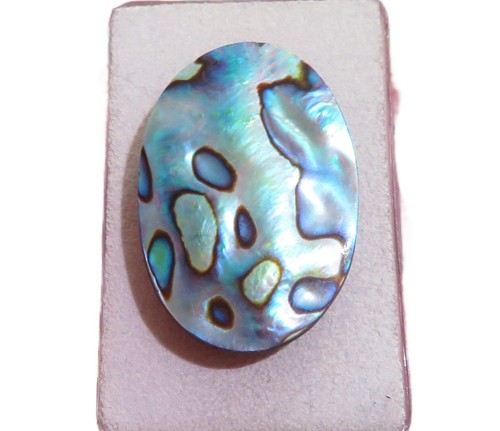 Paua muschel abalone cabochon - muschel,