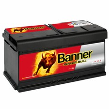 Banner Starterbatterie P9533