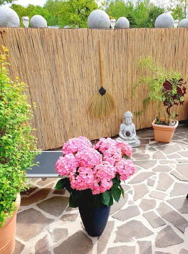Schilfrohrmatte - ,