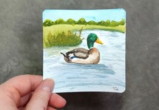 Enten Gemälde in Aquarell