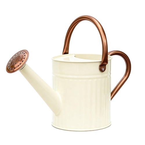 Gießkanne zimmerpflanzen 9l - gießkanne, 1,9l