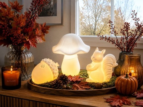 Herbst led eichhörnchen - herbst,