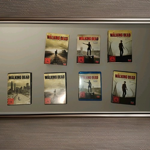 The walking dead staffel - the,