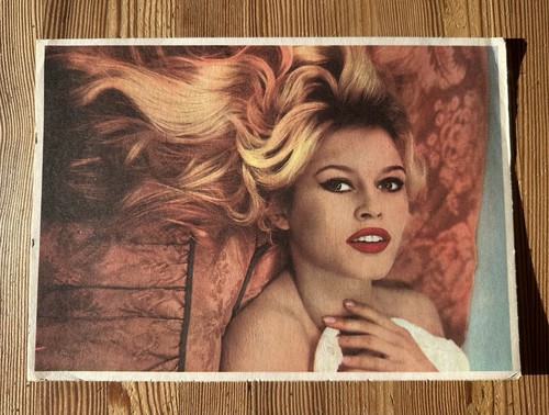 Brigitte bardot hitschler - brigitte,