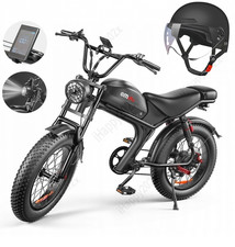 Elektrofahrrad 1000W 48V 20Ah