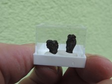 Meteorit - Sikhote Alin aus
