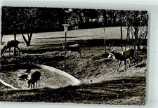 39729263 - 6460 Gelnhausen