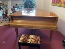 Flügel, Sauter, TOP-Zustand