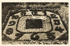 AK ZITTAU Blumenuhr 1956 DDR