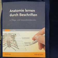 Anatomie lernen durch