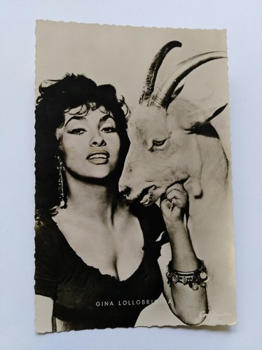 Gina lollobrigida alte - lollobrigida,,