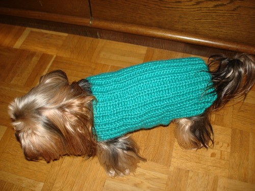 Hundepullover pullover - hundepullover,