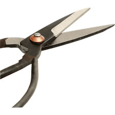 Schere für Bonsai-Pflanzen