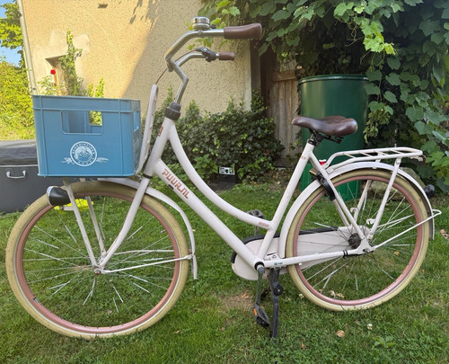 Gazelle city bike - gazelle, rosa