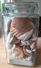 Muschel Potpourri in einem hohen Glas auf  Sand mit losem Deckel, top