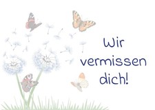 25x Ballonflugkarten Wir