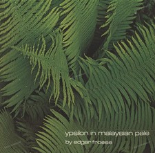 Edgar Froese - Ypsilon In Malaysian Pale GER LP 1977 (VG+/VG) BRAIN 1074 .
