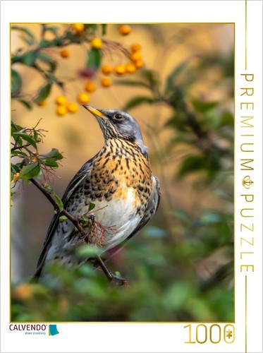 Calvendo puzzle ein motiv - puzzle, aus